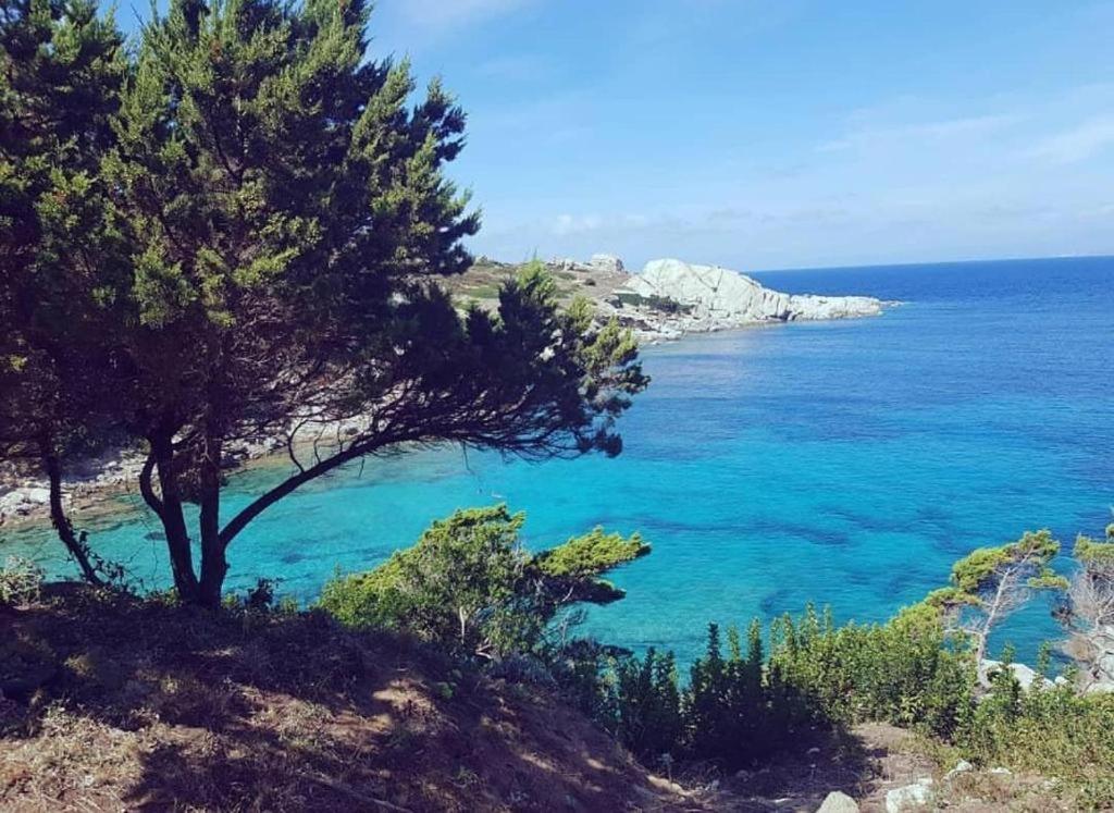 B&B Bedda Ita Santa Teresa Gallura Ngoại thất bức ảnh
